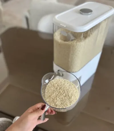 ظرف برنج